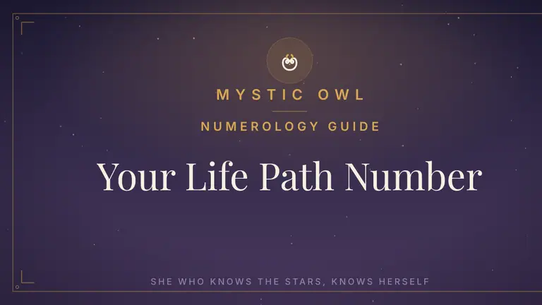 Mystic Owl life path numerology guide on a midnight-purple celestial background