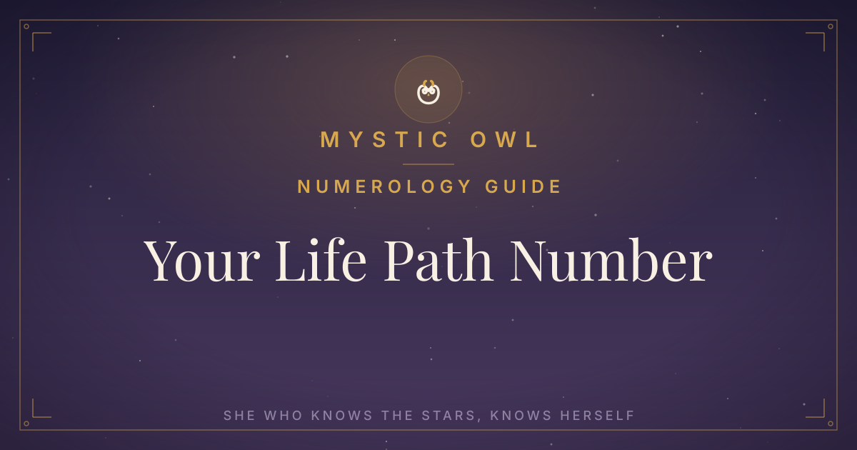 Mystic Owl life path numerology guide on a midnight-purple celestial background